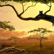 wild-cats_bg_day