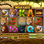 wild-cats_main-game